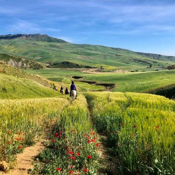 Riding holiday in Sicily